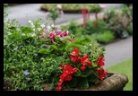 Portmeirion -09-06-2014 - Bogdan Balaban